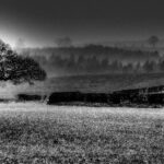 York employment solicitor