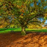 settlement agreement bradford