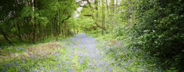 settlement agreement solicitor in Horsham
