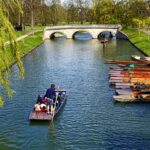 settlement agreement solicitor cambridge