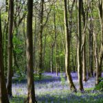 settlement agreement solicitor wolverhampton